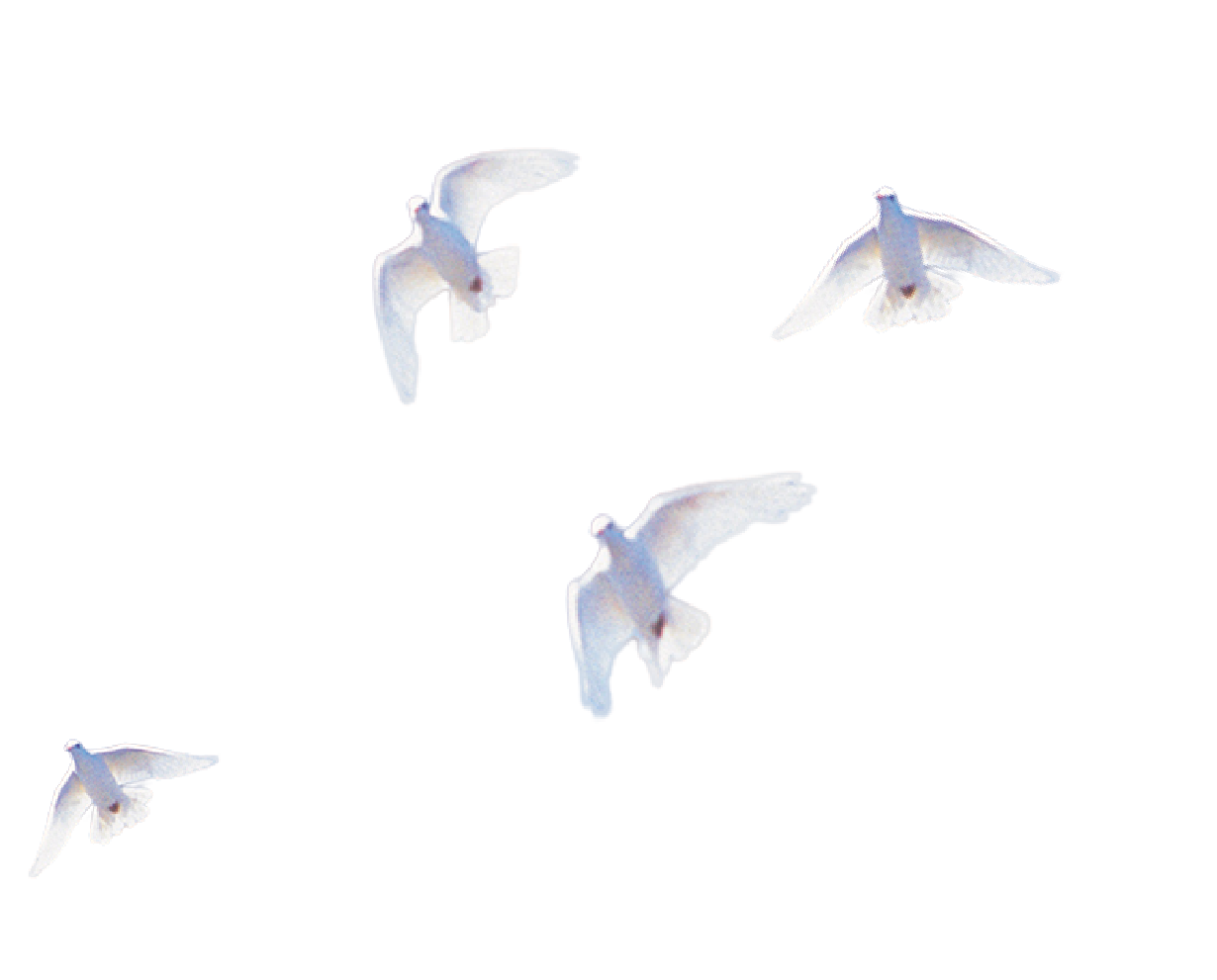 中学生・高校生の悩みに寄り添う